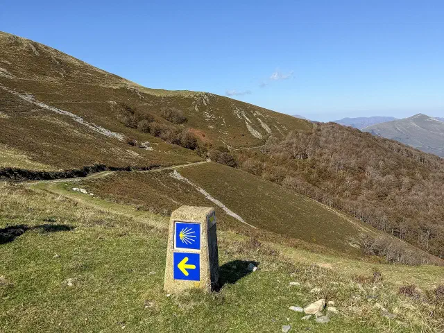 Gele pijl en blauw-geel schelpsymbool op een wegwijzer, het teken dat je op elke Camino-route naar Santiago terugziet Gele pijl en blauw-geel schelpsymbool op een wegwijzer, het teken dat je op elke Camino-route naar Santiago terugziet