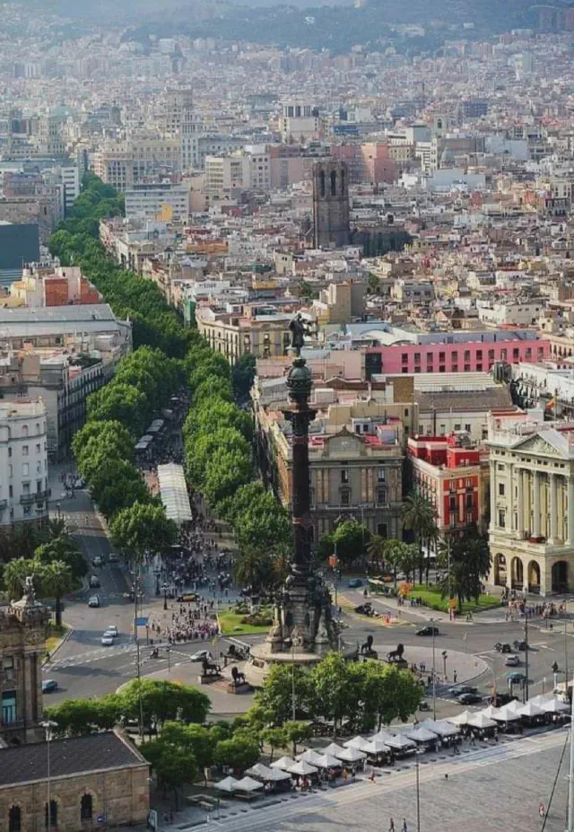 Foto van bovenaf op de iconische rij met bomen van Las Ramblas in Barcelona