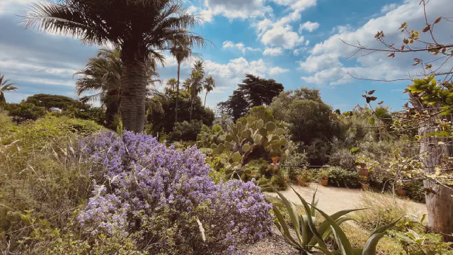Prachtige fauna in de botanische tuin Marimurtra in Blanes.