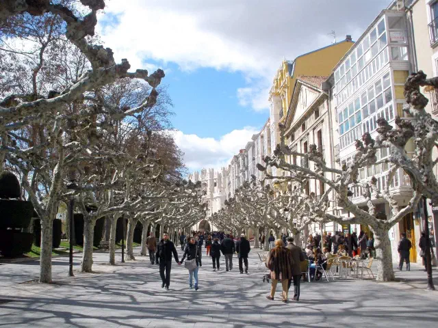 De Paseo del Espolon, de promenade met ineengevlochten platanen langs de Arlanzon in Burgos De Paseo del Espolon, de promenade met ineengevlochten platanen langs de Arlanzon in Burgos