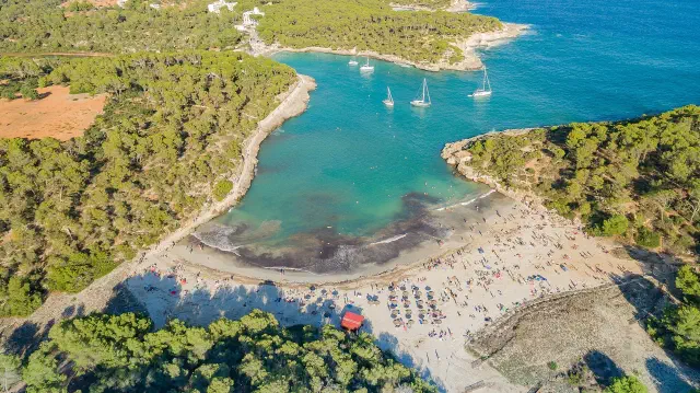 Het strand van s'Amarador in het Parc Natural de Mondragó bij Cala d'Or, met dennenbos achter het zand Het strand van s'Amarador in het Parc Natural de Mondragó bij Cala d'Or, met dennenbos achter het zand