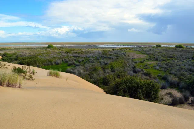 Het natuurpark Donana gezien vanaf Sanlucar de Barrameda Het natuurpark Donana gezien vanaf Sanlucar de Barrameda